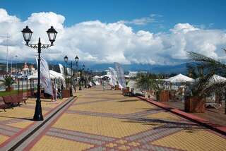 Гостиница Гостевой дом Березовый Адлер-1