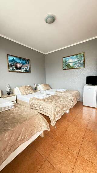 Гостиница Гостевой дом Березовый Адлер Классический трехместный номер-13