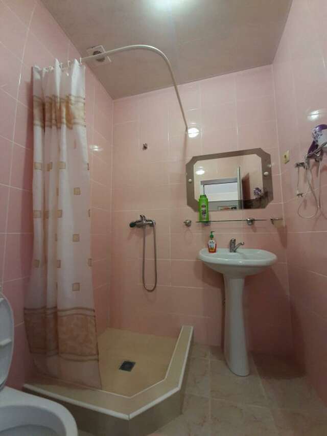 Гостиница Гостевой дом Березовый Адлер-46